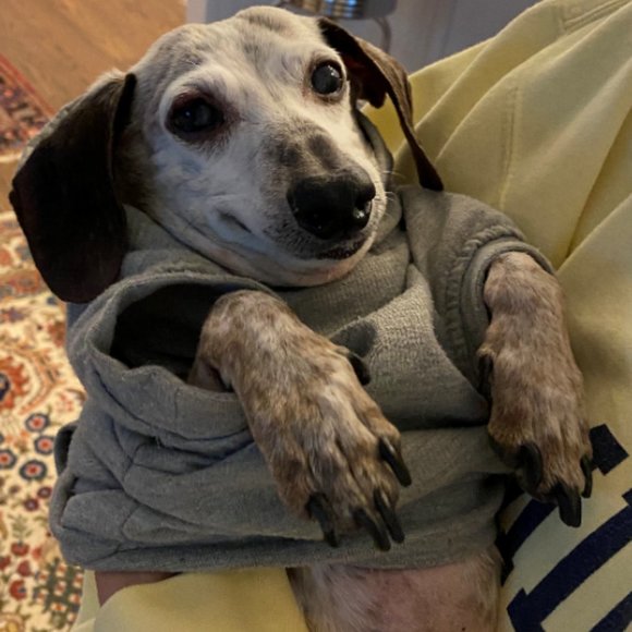 Meet your Posher, Susan - Picture 1 of 1